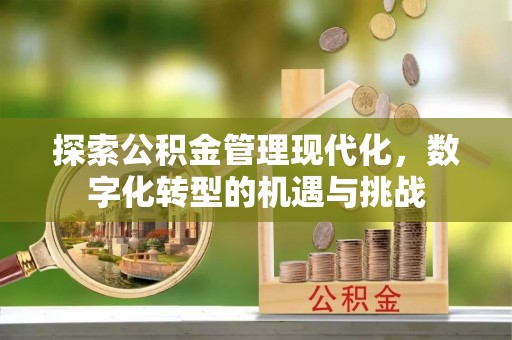 错那探索公积金管理现代化，数字化转型的机遇与挑战
