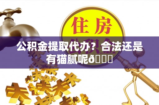 错那公积金提取代办？合法还是有猫腻呢😏